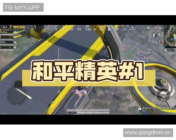 和平精英V5个人能力分析与提升策略探讨