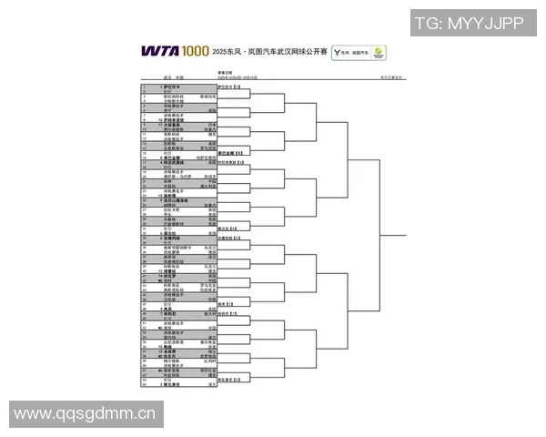 成都网球队引领最新网球节奏TOP10榜单全景解析